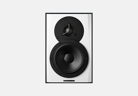 Dynaudio LYD 5