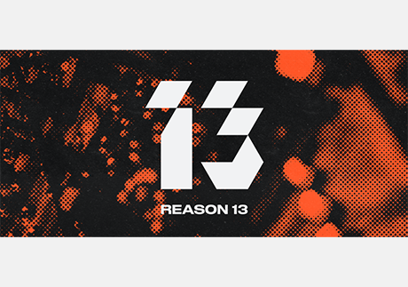 Reason 13
